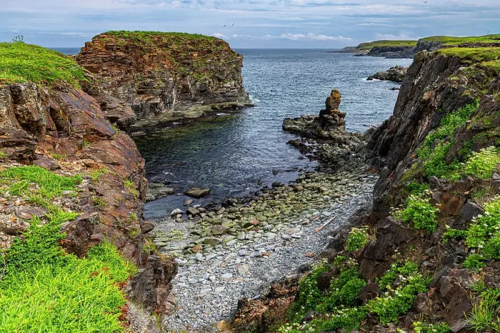 Framed Print : Puffin bird viewing site in Elliston, Bonavista Peninsula, Newfoundland, Canada, North America Framed Print : Puffin bird viewing site in Elliston, Bonavista Peninsula, Newfoundland, Canada, North America