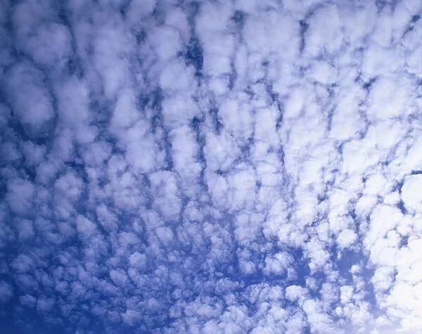 Puffy white clouds cover a blue sky