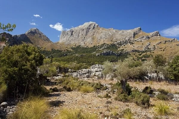Puig Major mountain in northern Majorca, near Soller, Majorca, Balearic Islands