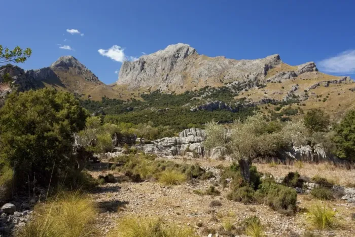 Framed Print : Puig Major mountain in northern Majorca, near Soller, Majorca, Balearic Islands