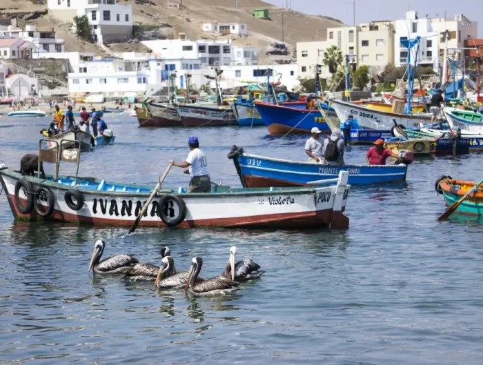 Framed Print : Pukusana (Pucusana) fishing village, Peru, South America Framed Print : Pukusana (Pucusana) fishing village, Peru, South America