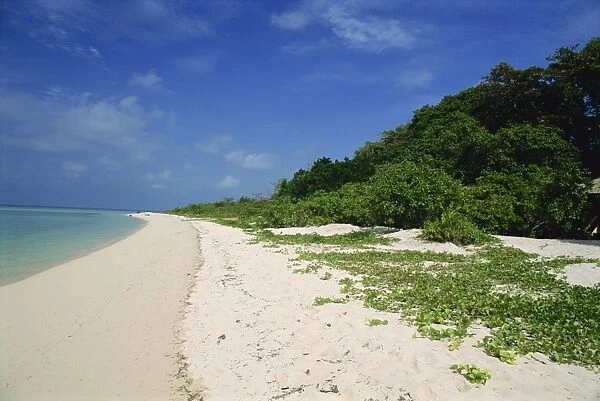Pulau Sangalakki beach at the Hidden Divers resort