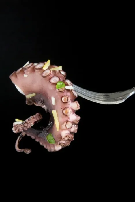 Framed Print : Pulpo guisado, food from the Canary Islands, Spain, Europe Framed Print : Pulpo guisado, food from the Canary Islands, Spain, Europe