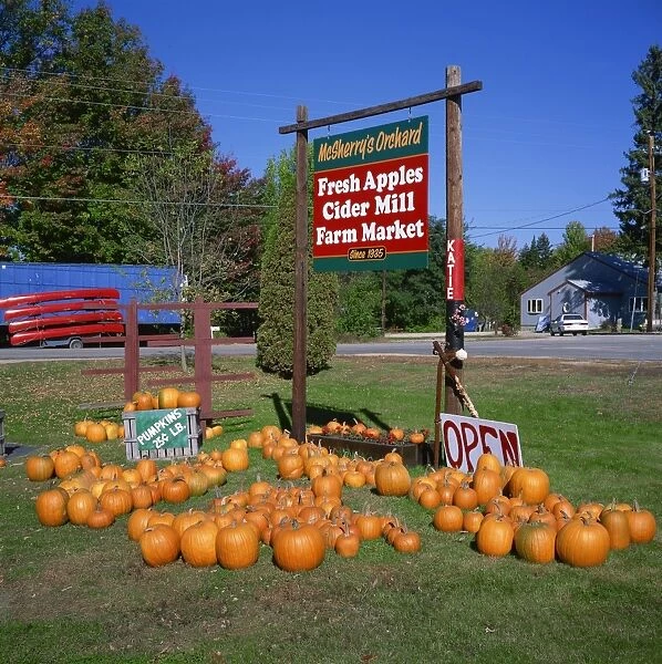 Pumpkins, apples, cider and maple syrup shop, New Hampshire, New England