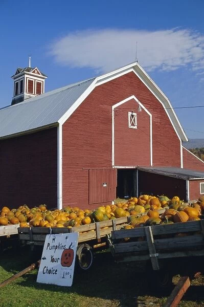 Pumpkins for sale in front of a red barn