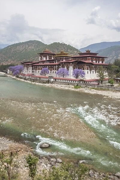 The Punakha Dzong (Pungtang Dechen Photrang Dzong) is the administrative centre of