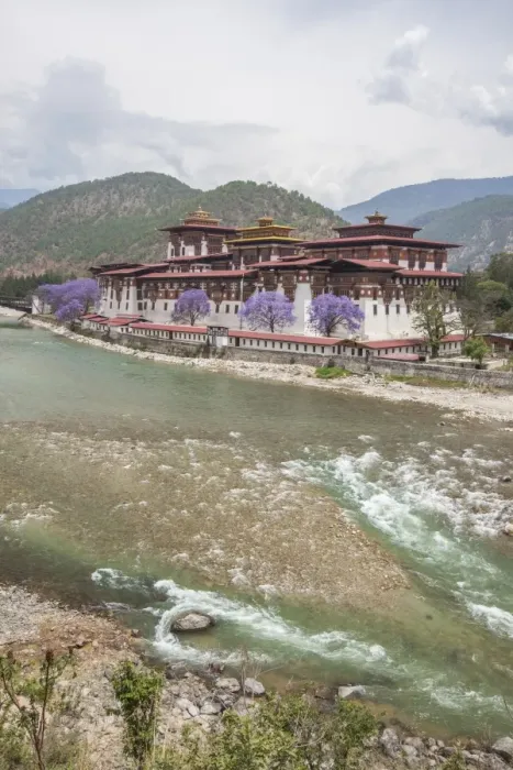 Framed Print : The Punakha Dzong (Pungtang Dechen Photrang Dzong) is the administrative centre of Framed Print : The Punakha Dzong (Pungtang Dechen Photrang Dzong) is the administrative centre of