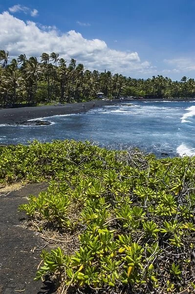 Punaluu Black Sand Beach on Big Island, Hawaii, United States of America, Pacific