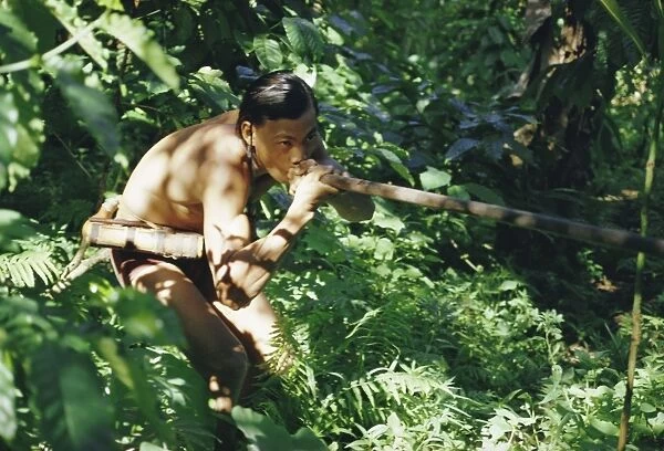 Punan man using a blow-pipe, Lasam, Borneo, Asia