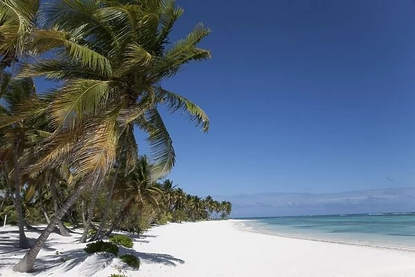 Punta Cana, Dominican Republic, West Indies, Caribbean, Central America