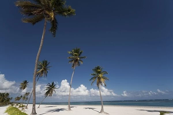 Punta Cana, Dominican Republic, West Indies, Caribbean, Central America