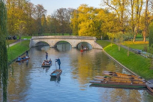 Punting on The Backs, River Cam, Cambridge, Cambridgeshire, England, United Kingdom