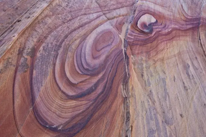 Framed Print : Purple loops in sandstone, Coyote Buttes Wilderness, Vermilion Cliffs National Monument Framed Print : Purple loops in sandstone, Coyote Buttes Wilderness, Vermilion Cliffs National Monument