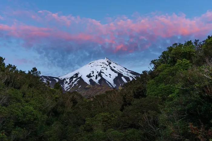 Framed Print : Purple sunset above the snowy summit of Mount Taranaki, North Island, New Zealand, Pacific Framed Print : Purple sunset above the snowy summit of Mount Taranaki, North Island, New Zealand, Pacific