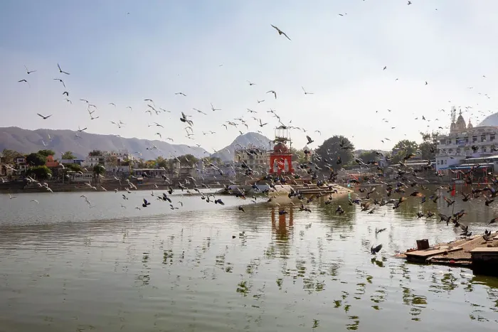 Framed Print : Pushkar Lake, Pushkar, India, South Asia, Asia Framed Print : Pushkar Lake, Pushkar, India, South Asia, Asia