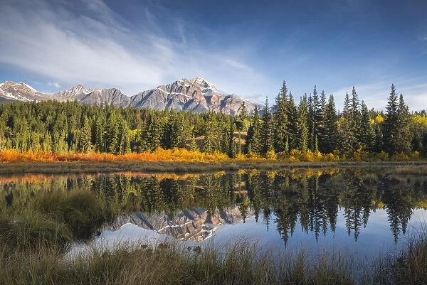 Pyramid Mountain reflected in a lake with autumn colour, Jasper National Park, UNESCO