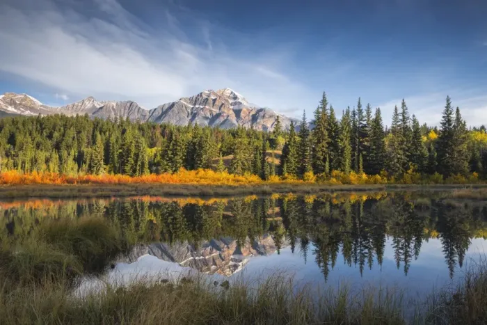 Framed Print : Pyramid Mountain reflected in a lake with autumn colour, Jasper National Park, UNESCO Framed Print : Pyramid Mountain reflected in a lake with autumn colour, Jasper National Park, UNESCO
