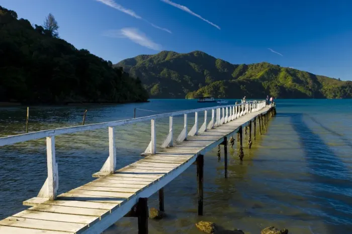 Framed Print : Queen Charlotte Sound, South Island, New Zealand, Pacific Framed Print : Queen Charlotte Sound, South Island, New Zealand, Pacific
