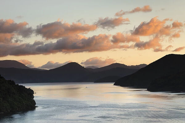Queen Charlotte Sound at sunrise, Marlborough Sounds, Picton, South Island, New Zealand