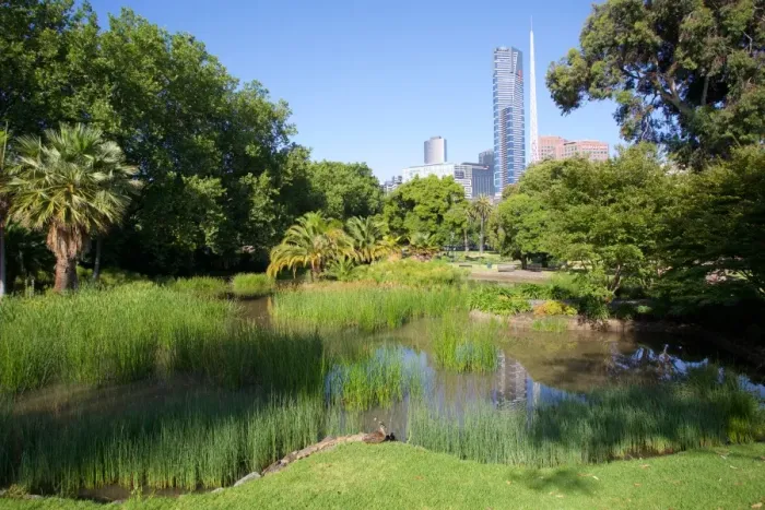 Framed Print : Queen Victoria Gardens, Melbourne, Victoria, Australia, Pacific Framed Print : Queen Victoria Gardens, Melbourne, Victoria, Australia, Pacific