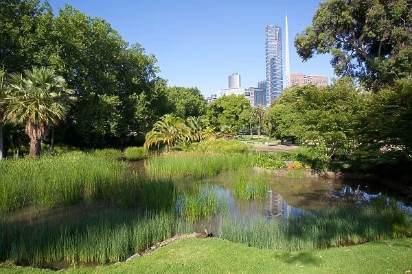 Queen Victoria Gardens, Melbourne, Victoria, Australia, Pacific