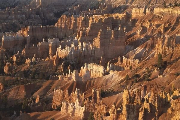 Queens Garden, Bryce Canyon, Utah, United States of America (U