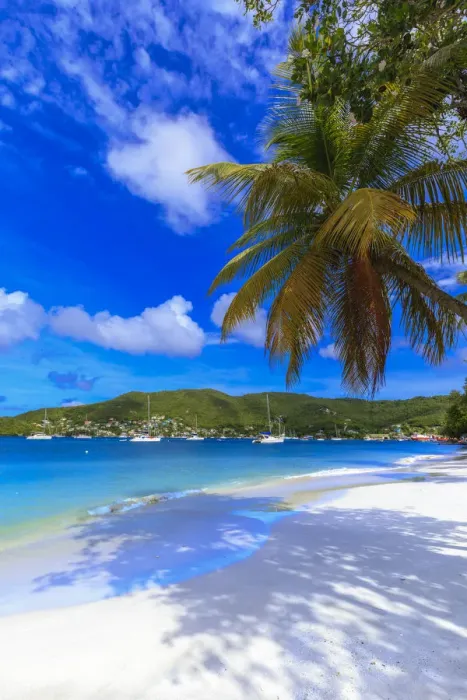 Framed Print : Quiet Caribbean, sea shore palm trees, beautiful Port Elizabeth, Admiralty Bay, Bequia Framed Print : Quiet Caribbean, sea shore palm trees, beautiful Port Elizabeth, Admiralty Bay, Bequia