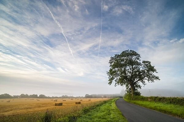 Quiet country road, Longborough, The Cotswolds, Gloucestershire, England, United Kingdom, Europe
