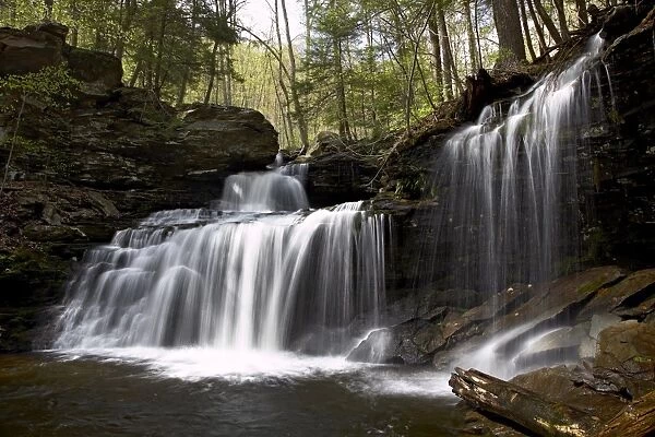 R. B. Ricketts Falls, Ricketts Glenn State Park, Pennsylvania, United States of America
