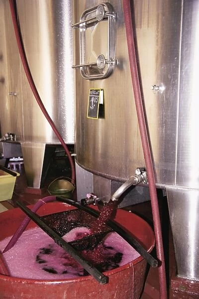 Racking grape juice into fermentation tanks, Chateau Crozet Bages, Pauillac