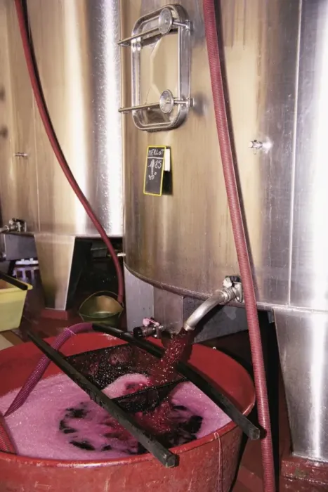 Framed Print : Racking grape juice into fermentation tanks, Chateau Crozet Bages, Pauillac Framed Print : Racking grape juice into fermentation tanks, Chateau Crozet Bages, Pauillac