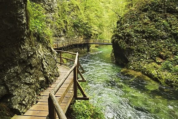 Radovna River, Vintgar Gorge, Gorje, Bled, Slovenia, Europe