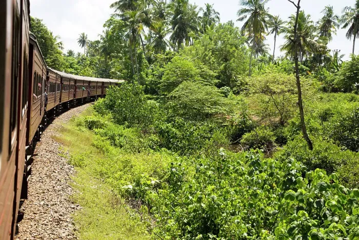 Framed Print : Railway train passing through countryside between Galle and Mirissa, Sri Lanka, Asia Framed Print : Railway train passing through countryside between Galle and Mirissa, Sri Lanka, Asia