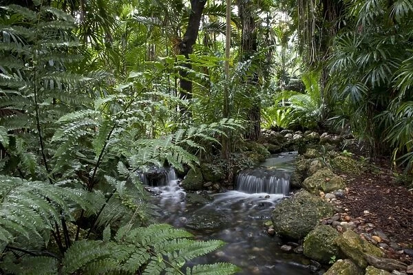 Rain forest, Fairchild Tropical Gardens, Miami, Florida, United States of America