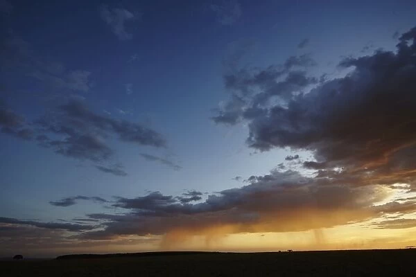 Rain and sunset on the Msai Mara plains, Kenya, East Africa, Africa