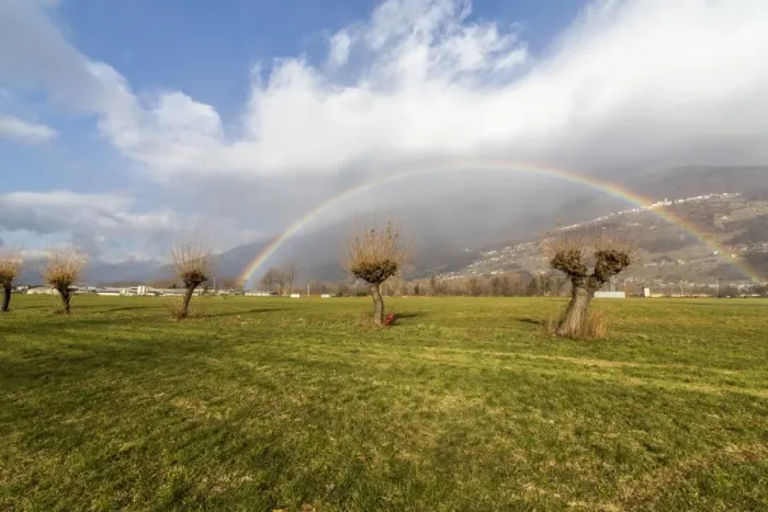 Framed Print : Rainbow on bare trees, Cosio Valtellino, Sondrio province, Valtellina, Lombardy, Italy Framed Print : Rainbow on bare trees, Cosio Valtellino, Sondrio province, Valtellina, Lombardy, Italy