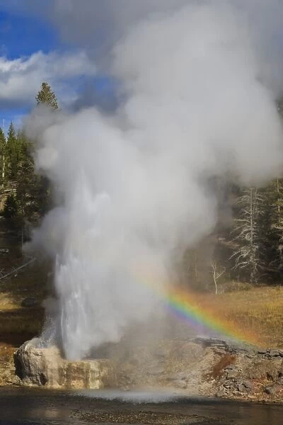 Rainbow cast by eruption of Riverside Geyser, Firehole River, Upper Geyser Basin, Yellowstone National Park, UNESCO World Heritage Site, Wyoming, United States of America, North America