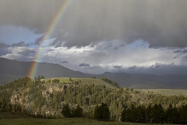 Rainbow, Yellowstone National Park, UNESCO World Heritage Site, Wyoming, United States of America
