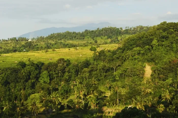 Framed Print : Rainforest and fields, Senaru, Lombok, Indonesia, Southeast Asia, Asia Framed Print : Rainforest and fields, Senaru, Lombok, Indonesia, Southeast Asia, Asia