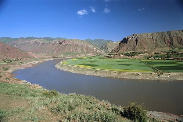 Rape and barley fields by the Hwang Ho, Yellow River, at Lajia, Qinghai Province, China