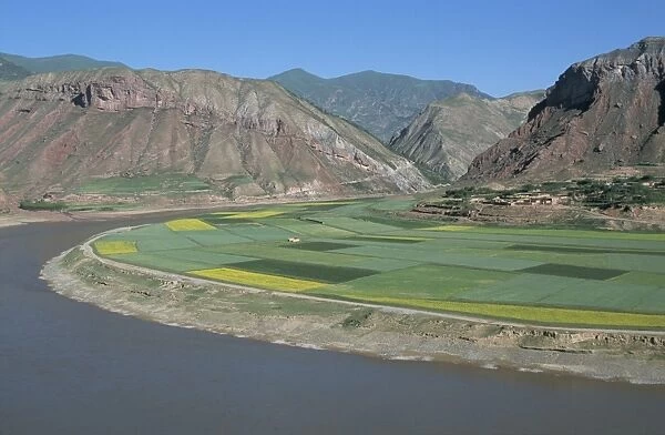Rape and barley fields by the Yellow River at Lajia, Qinghai Province, China, Asia
