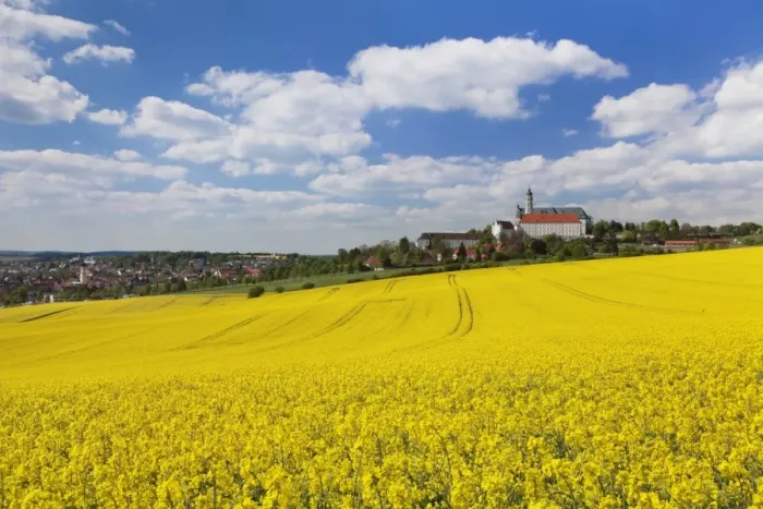 Framed Print : Rape field and Benedictine Abbey, Neresheim, Swabian Alb, Baden Wurttemberg, Germany, Europe Framed Print : Rape field and Benedictine Abbey, Neresheim, Swabian Alb, Baden Wurttemberg, Germany, Europe