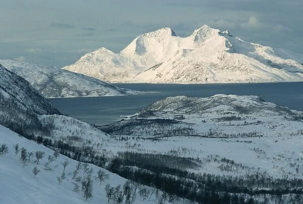 Rebbenesoy Island in depths of winter, near Tromso, Arctic, Norway, Scandinavia, Europe