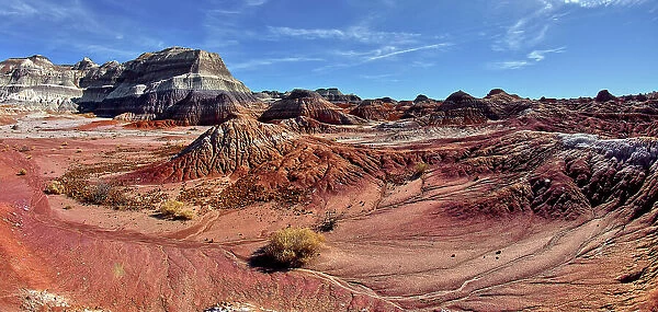 The red bentonite hills of the Red Basin in Petrified Forest National Park, Arizona, United States of America, North America