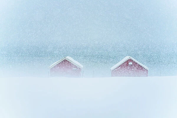 Red cabins in the mist during a heavy snowfall, Troms county, Norway, Scandinavia, Europe