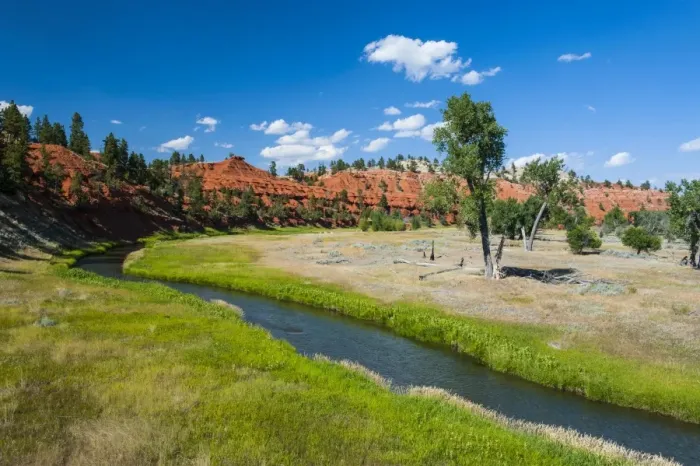Framed Print : Red canyon in the background of a little creek, Devils Tower National Monument, Wyoming, United States of America, North America Framed Print : Red canyon in the background of a little creek, Devils Tower National Monument, Wyoming, United States of America, North America