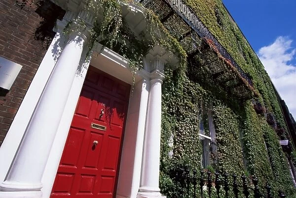 Red door and ivy covered building, St