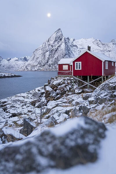 Red fishermens cabins covered with snow at dusk, Hamnoy, Nordland county, Lofoten Islands, Norway, Scandinavia, Europe