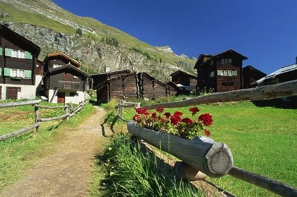 Red geraniums beside path into village, Zum See, Zermatt, Valais, Switzerland, Europe