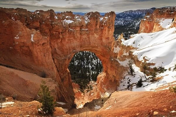 Red-hued limestone arch lit by morning sun with snowy cliffs in winter at Natural Bridge, Bryce Canyon National Park, Utah, United States of America, North America